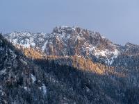Abendliche Sonnenspots am Wald unter der winterlichen Sonnwendwand